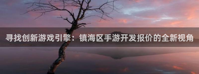 庄闲和规则图：寻找创新游戏引擎：镇海区手游开发报价的全新视角