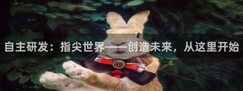 庄闲的玩法：自主研发：指尖世界——创造未来，从这里开始
