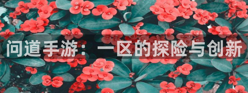 庄闲玩法补牌规则