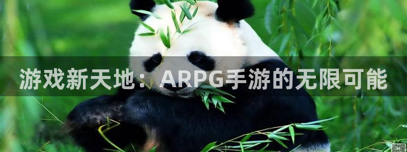 庄闲和游戏有限公司