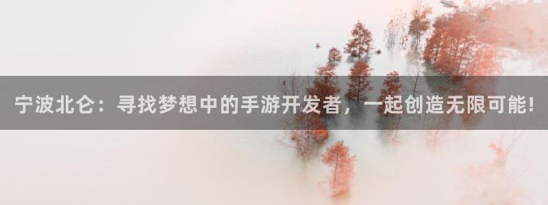 如何玩庄闲：宁波北仑：寻找梦想中的手游开发者，一起创造无限可