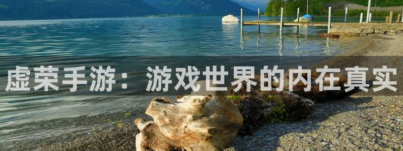 庄闲游戏最新版号：虚荣手游：游戏世界的内在真实