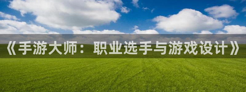 庄闲的游戏规则：《手游大师：职业选手与游戏设计》