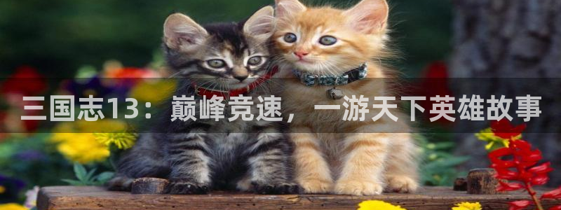 庄闲叫什么游戏：三国志13：巅峰竞速，一游天下英雄故事