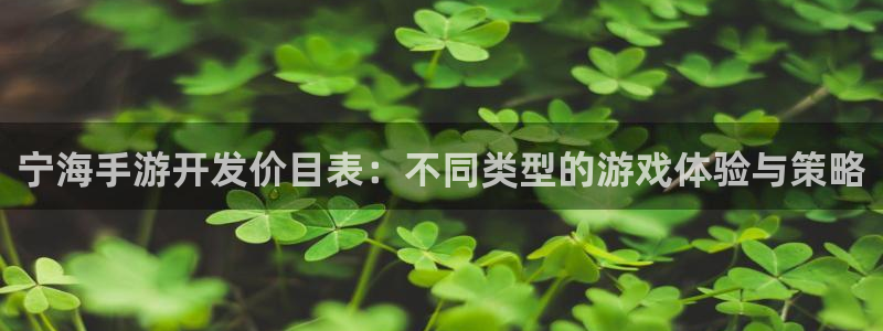 庄闲最科学玩法：宁海手游开发价目表：不同类型的游戏体验与策略