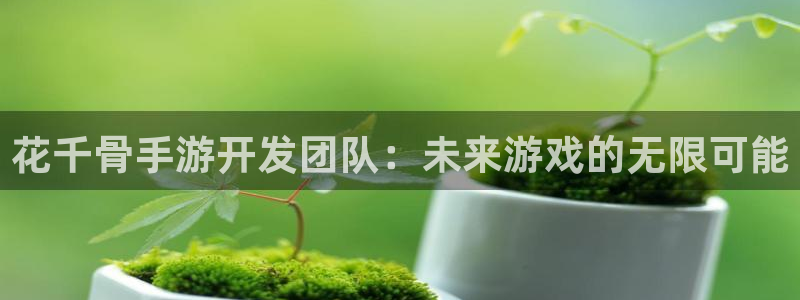 庄闲游戏提取：花千骨手游开发团队：未来游戏的无限可能