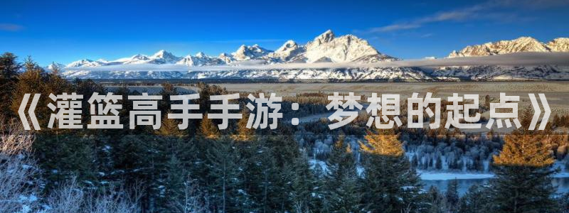 真人庄闲游戏：《灌篮高手手游：梦想的起点》