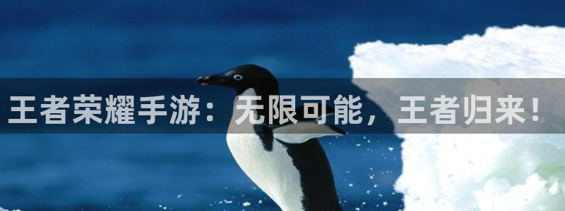 庄闲玩法：王者荣耀手游：无限可能，王者归来！