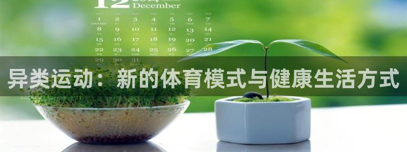 vsport体育在线官网