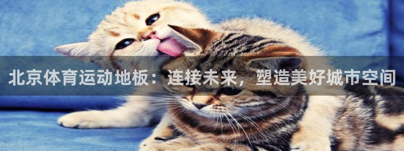 vsport体育在线官网