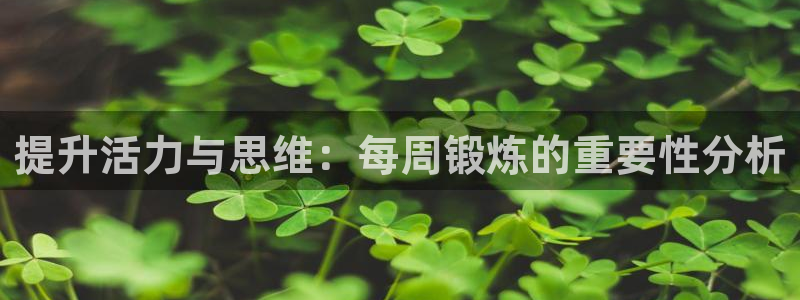vsport体育在线官网