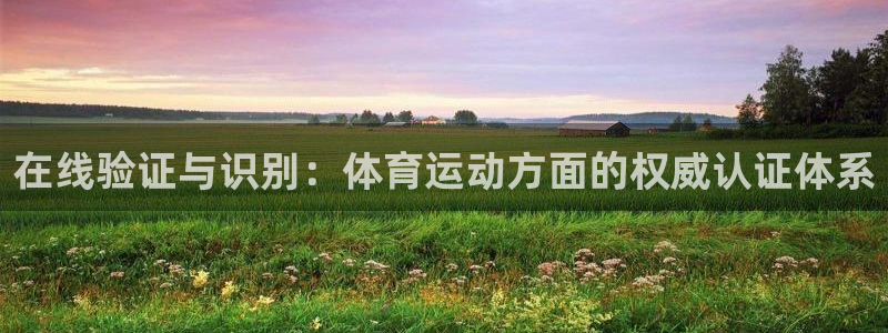 vsport体育在线官网