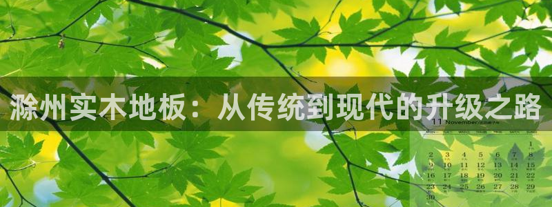vsport体育在线官网