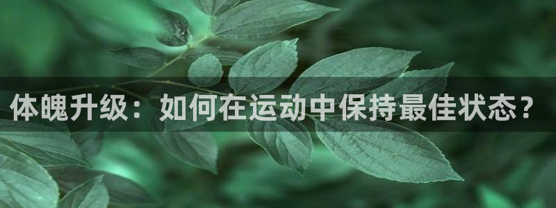 vsport体育在线官网