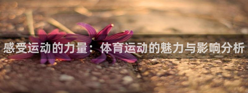 vsport体育在线官网