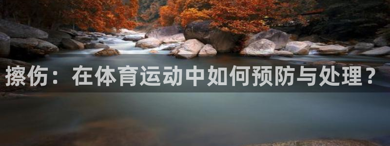 vsport体育在线官网