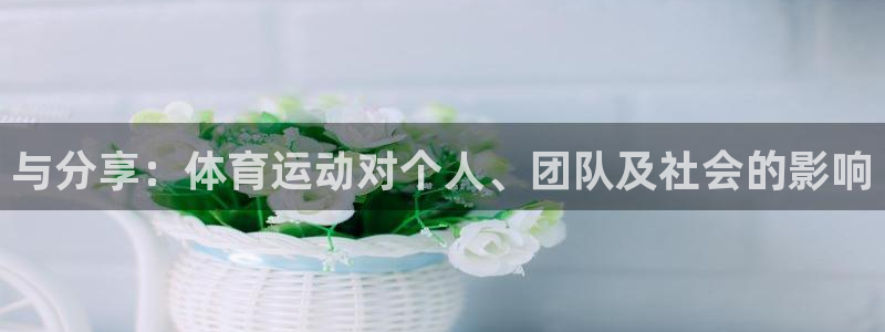 vsport体育