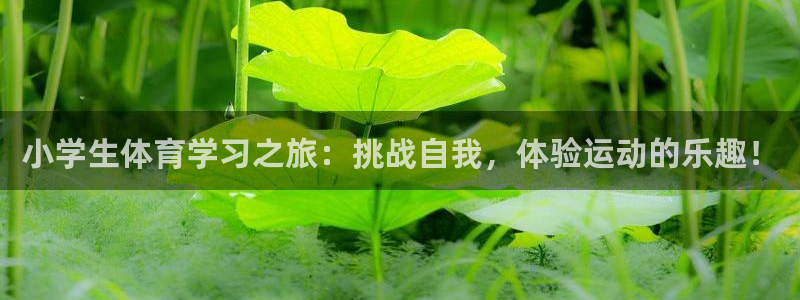 vsport体育在线官网